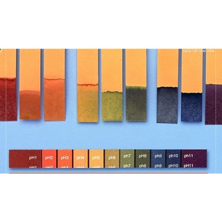 Giấy quỳ tím đo độ PH từ 1-14 ( 80 tờ)