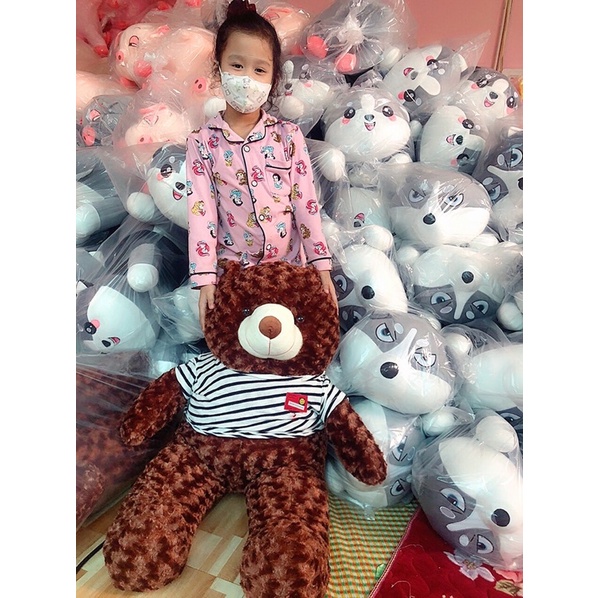 Gấu Bông Teddy, Thú Nhồi Bông Siêu To Mặc Áo Cao Cấp Chất Liệu Lông Xù Big Size
