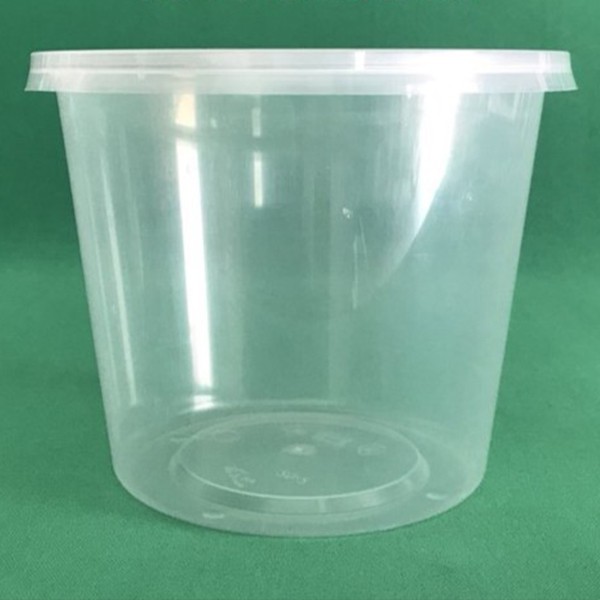 Bộ 10 hộp đựng thực phẩm dùng 1 lần Song Long 650ml HSL