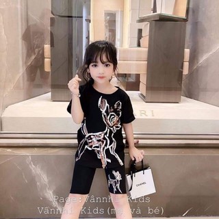 Bộ cotton bé gái co giãn 4 chiều