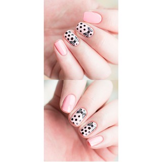 Set sơn móng tay 3CE PINK RUMOUR NAIL LACQUER KIT