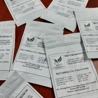 Hạt giống chà là thái