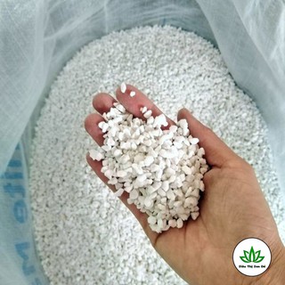 Đá Perlite Trồng Sen Đá, Xương Rồng