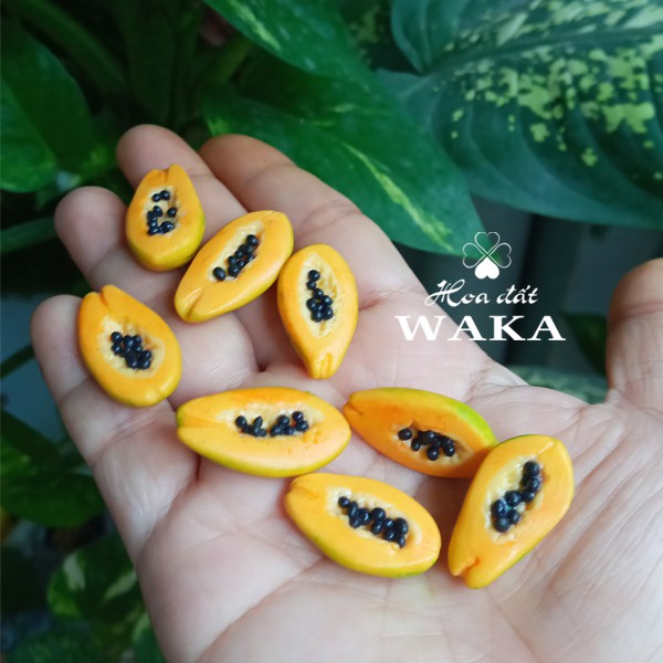 Mô hình Trái Đu Đủ Mini- Rau Củ Quả Mini 1/12