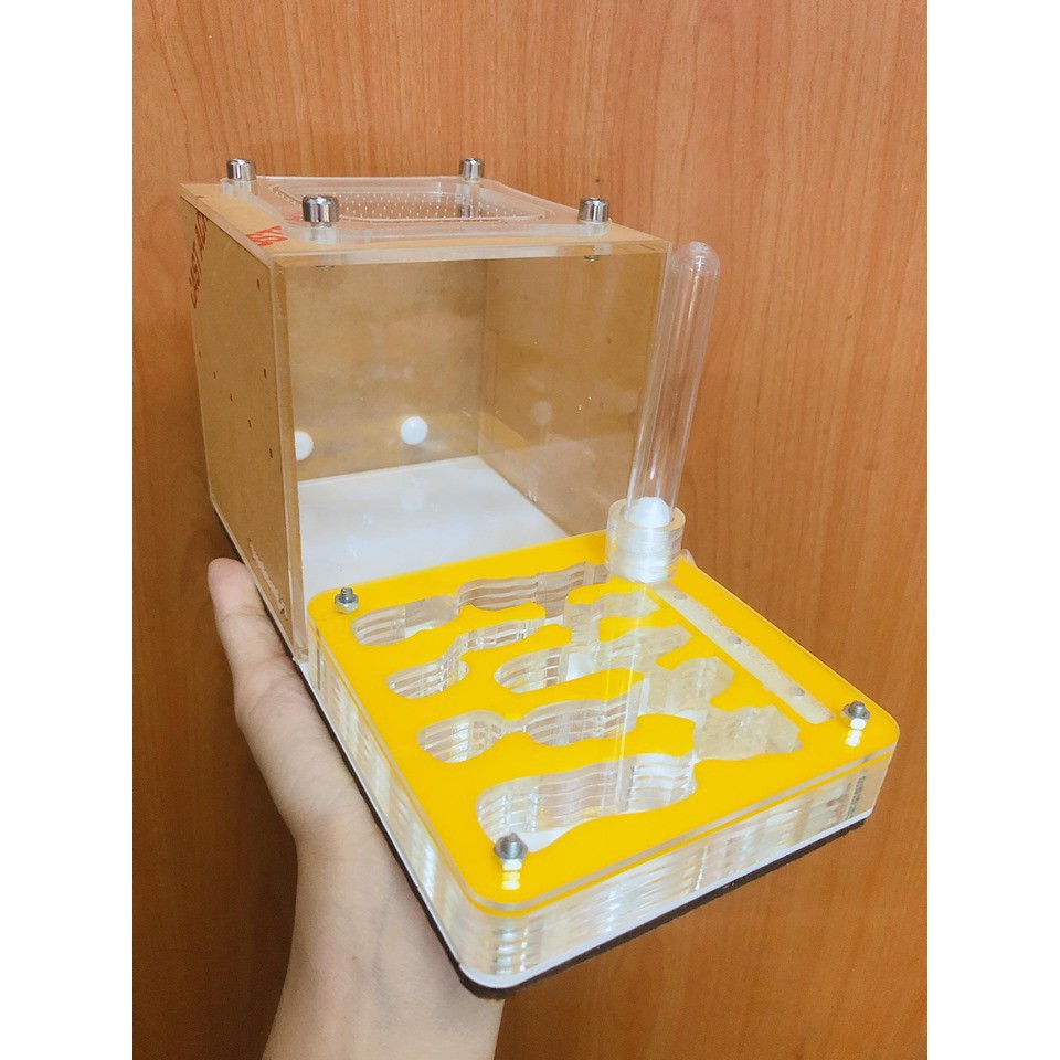 Formicarium / Tổ nuôi kiến / hộp nuôi kiến nằm 10cm