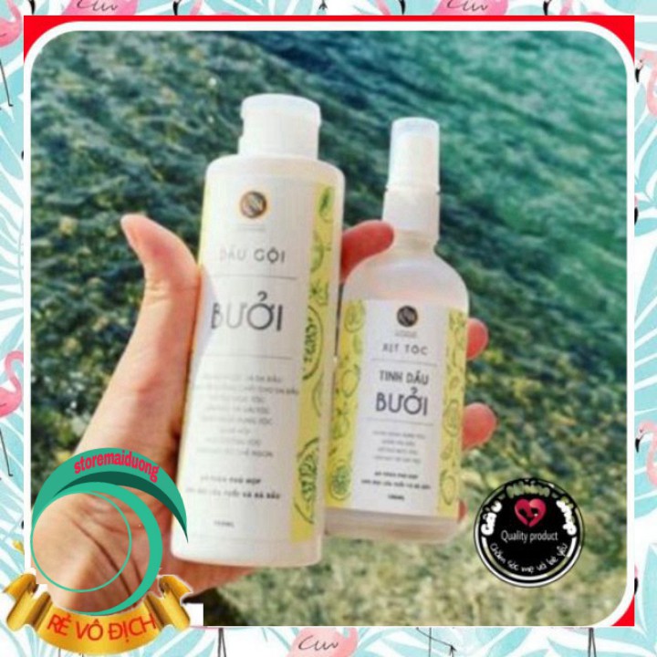 Dầu gội bưởi Nga Hoàng chai lớn 350ml (HÀNG CHÍNH HÃNG) | BigBuy360 - bigbuy360.vn