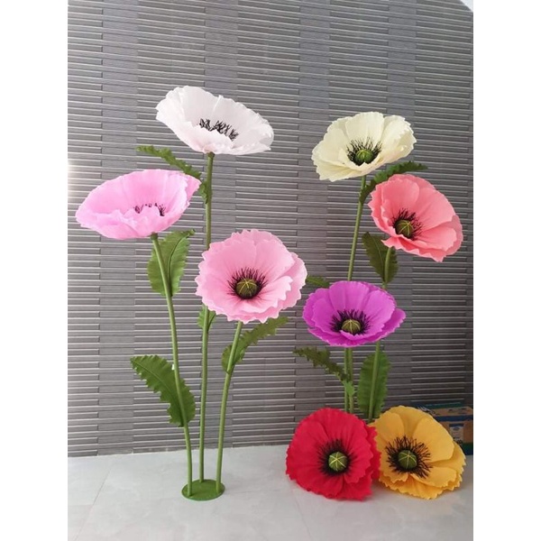 Hoa poppy đầu bông trang trí backdrop