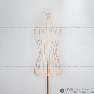 Manocanh Sắt Nữ
