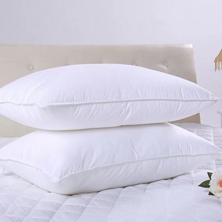 Cặp 2 ruột gối Hilton cao cấp