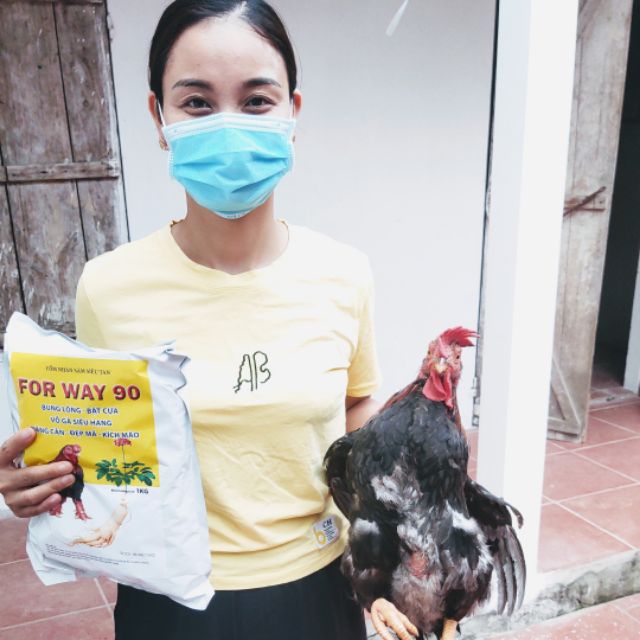 phongtoanvet