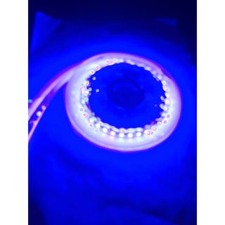 LED dây dán 12V - 120 led/Mét - Cuộn 5m