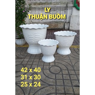 Chậu nhựa Ly thuận buồm