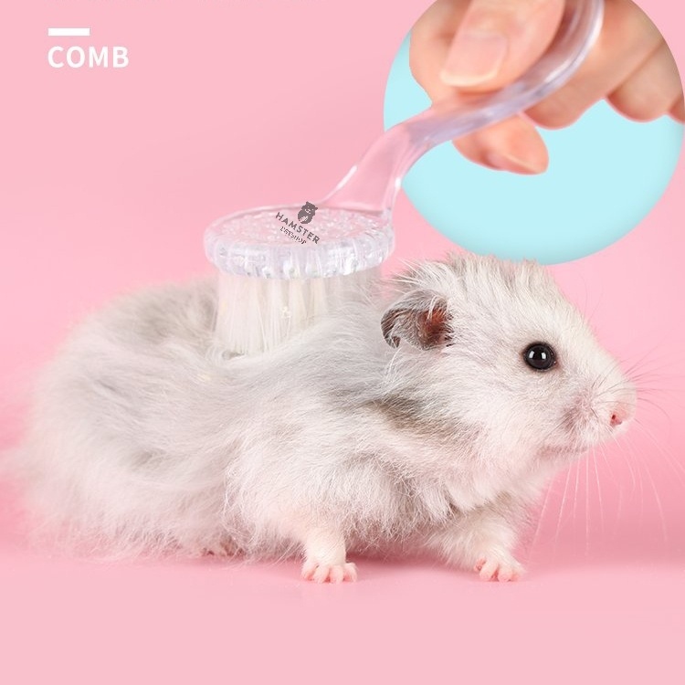 Lược chải lông hamster , thỏ , bọ , sóc