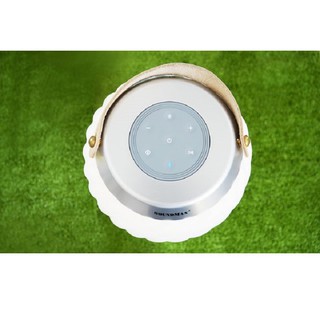 Loa Soundmax AL-22