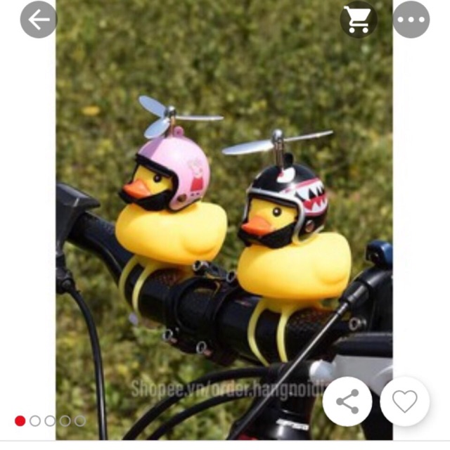 Vịt đội mủ bảo hiểm