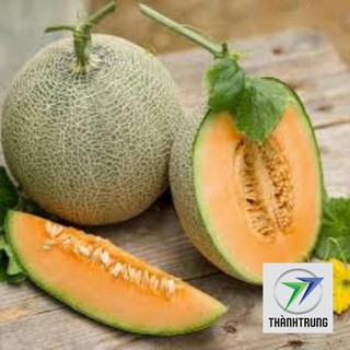 Gói 20 hạt giống dưa lưới xanh THANH TRUNG
