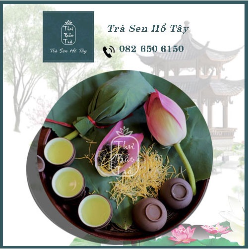 Set hộp quà tặng biếu 10 bông Trà Sen Hồ Tây ướp nguyên bông sang trọng Thư Bảo Trà