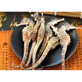 sale 5 CẶP CÁ NGỰA , HẢI MÃ  CHẤT LƯỢNG, HÀNG TƯƠI NGUYÊN CHƯA QUA SƠ CHẾ.- Vựa Khô Minh Triết