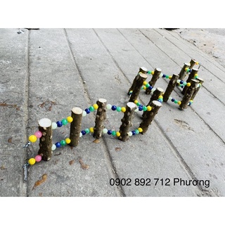Thang leo gỗ gạo cho vẹt