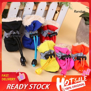 Set 4 giày bốt đi mưa chống trượt cho thú cưng