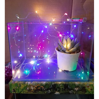 Đèn led trang trí: dây 4 màu dùng pin tiểu