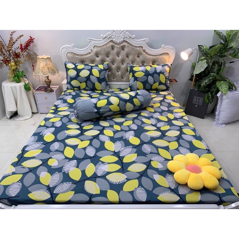 Bộ drap thun hàn quốc mẫu lá phối 6 màu siêu đẹp