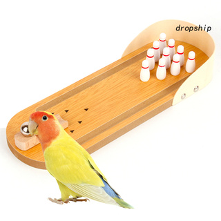 Bộ Đồ Chơi Bowling Cho Vẹt Cưng