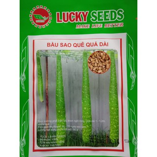 Hạt giống bầu sao quê quả dài - 5 hạt