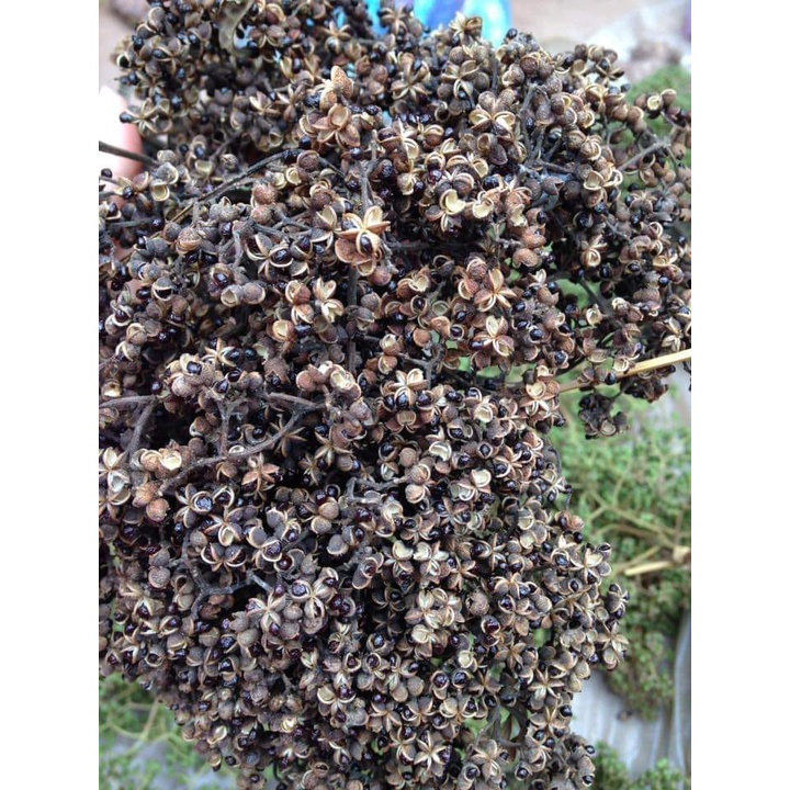 Hạt Mắc Khén Khô Tây Bắc Túi 500G Loại 1 - Thơm Ngon Chuẩn Vị