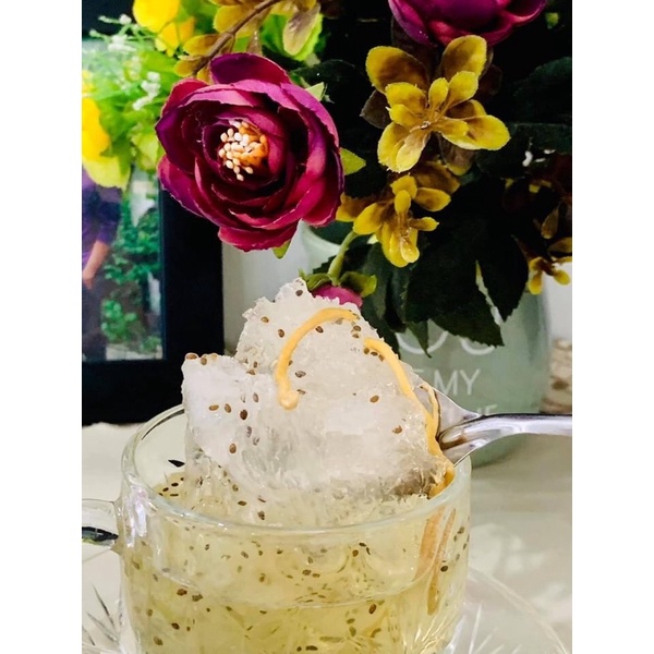 100g tổ yến tươi, yến đảo, hồng yến, yến sào Nha trang, Khánh Hoà +🎁🎁🎁