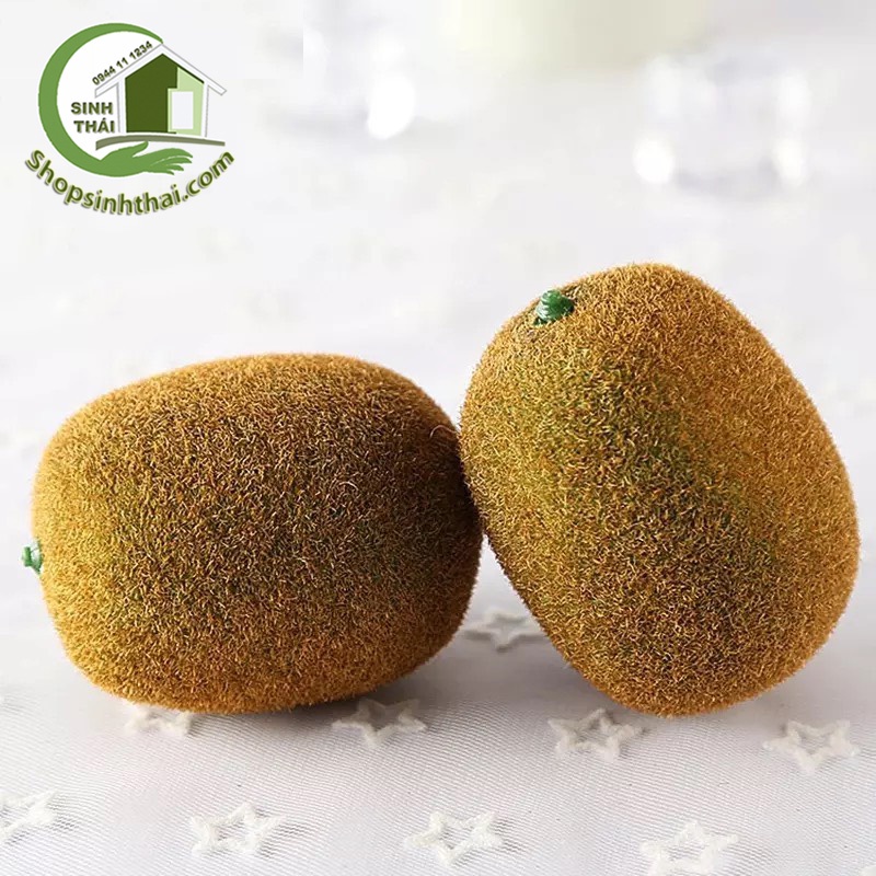 Trái kiwi giả - trái cây giả cao cấp