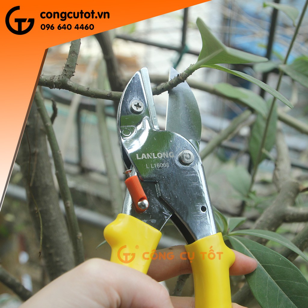 Kéo cắt cành 200mm kiểu lưỡi thái LL16005 C-mart A0052-08