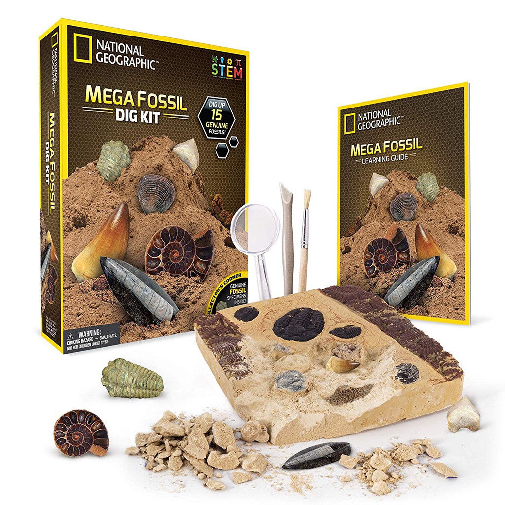 Trò chơi Khảo Cổ học Hóa Thạch từ National Geographic ( National Geographic Mega Fossil Dig Kit )