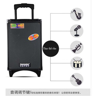 Loa kéo di động Temeisheng A8-5