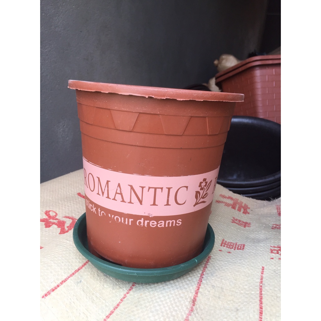 5 CHẬU NHỰA ROMANTIC #1 (BẦU KHAY TÚI ƯƠM, KEO LIỀN SẸO CÂY, KÍCH RỄ MẦM CÂY...)