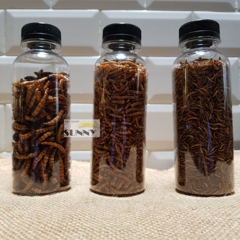 Chai sâu khô (nhỏ, trung, đại) cho hamster, sóc, nhím
