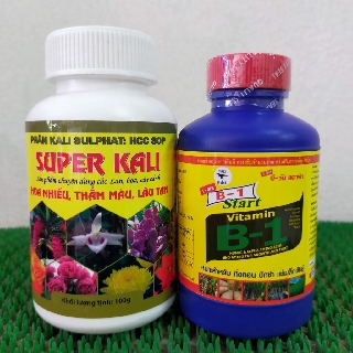 Combo B1 thái kích rễ + Super kali xanh lá - đẹp hoa