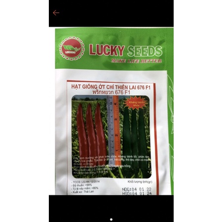 Hạt giống ớt chỉ thiên siêu cay lai F1 quả dài siêu nhiều trái