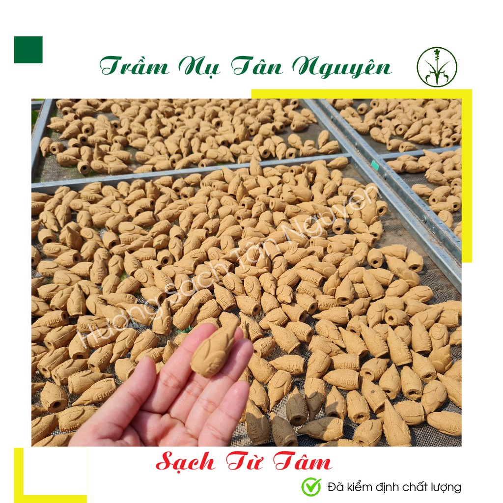 Trầm hương Tân Nguyên, nụ trầm hương cao cấp mùi thơm dịu nhẹ hộp 31 viên dùng cho thác khói