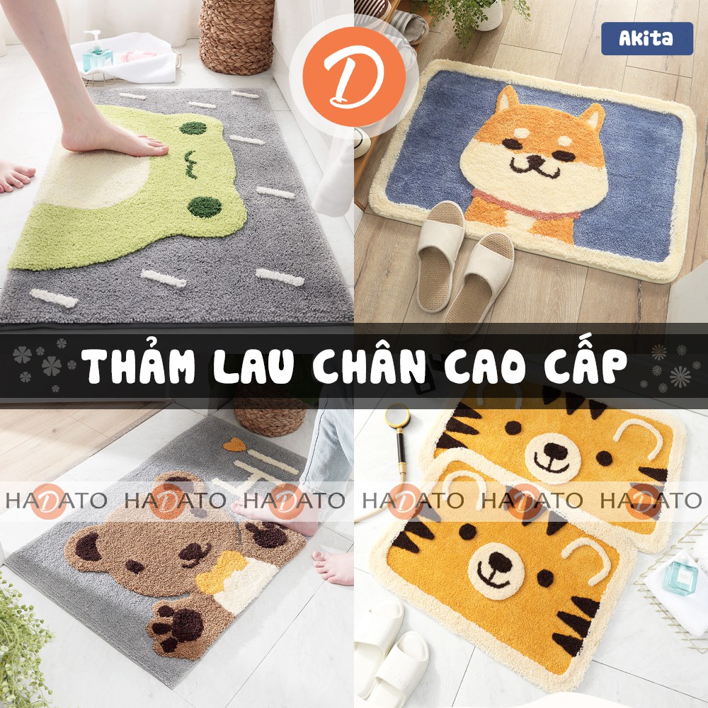 [CAO CÂP] Thảm chùi chân Thảm lau chân nhà tắm phòng khách chống trơn trượt - TLCMT 1