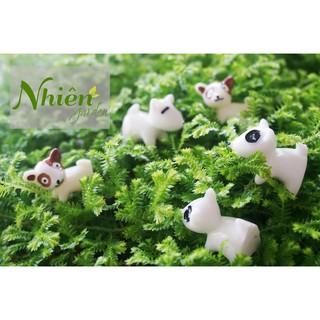 [HÌNH THẬT] CHÓ MẪU 1 - Phụ kiện trang trí tiểu cảnh