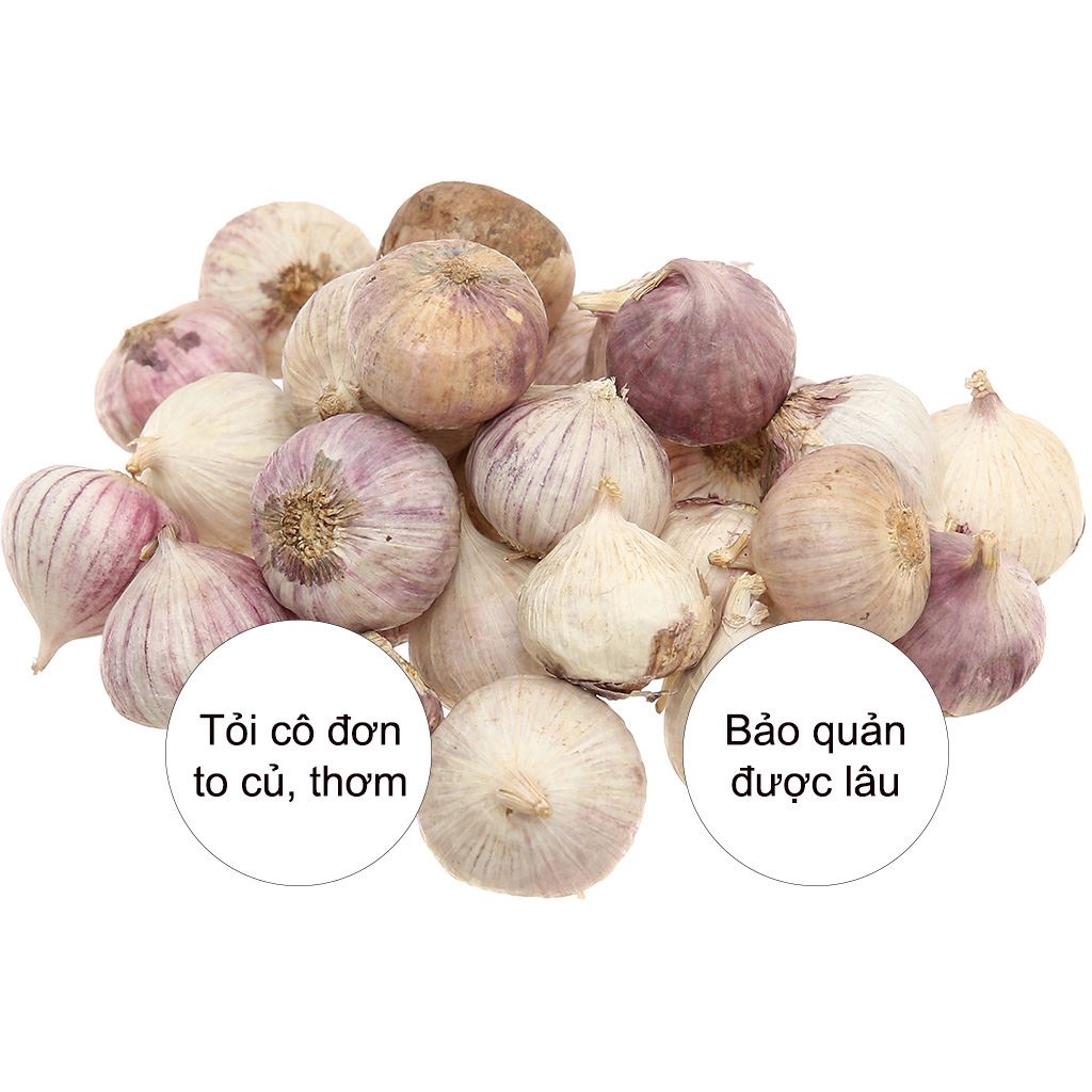 1kg tỏi cô đơn phan rang làm tỏi đen