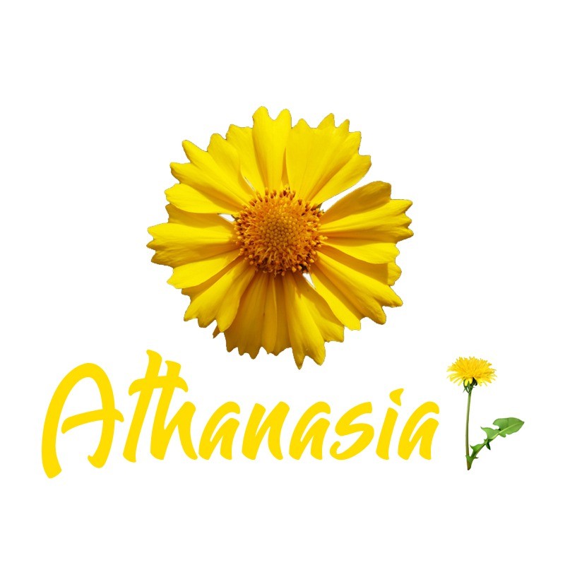 athanasia.lunar.vn