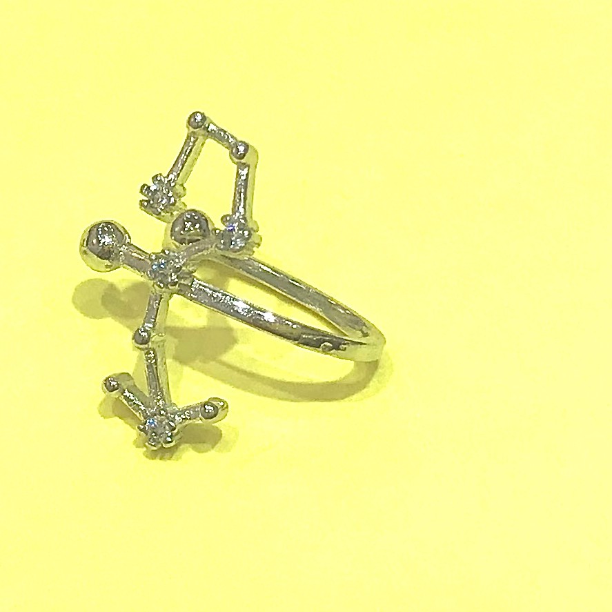 Bông tai bạc Tiệm bạc 21 Centimeters 12 chòm sao