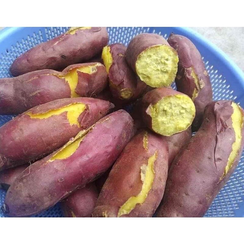 Khoai lang nhật Đà Lạt 1kg - Hàng loại 1 - Ship hỏa tốc