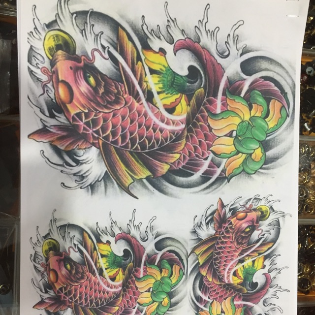 Catolo cá chép màu in sẵn