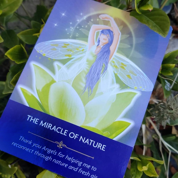 Bài Angel Prayers Oracle