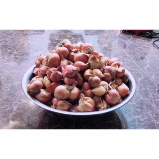 COMBO 3Kg Hành Khô (Kinh Môn Hải Dương)