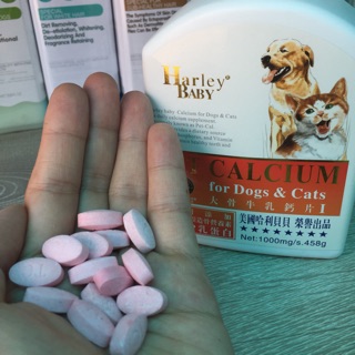 Viên nhai bổ sung Canxi cho chó mèo Harley Baby