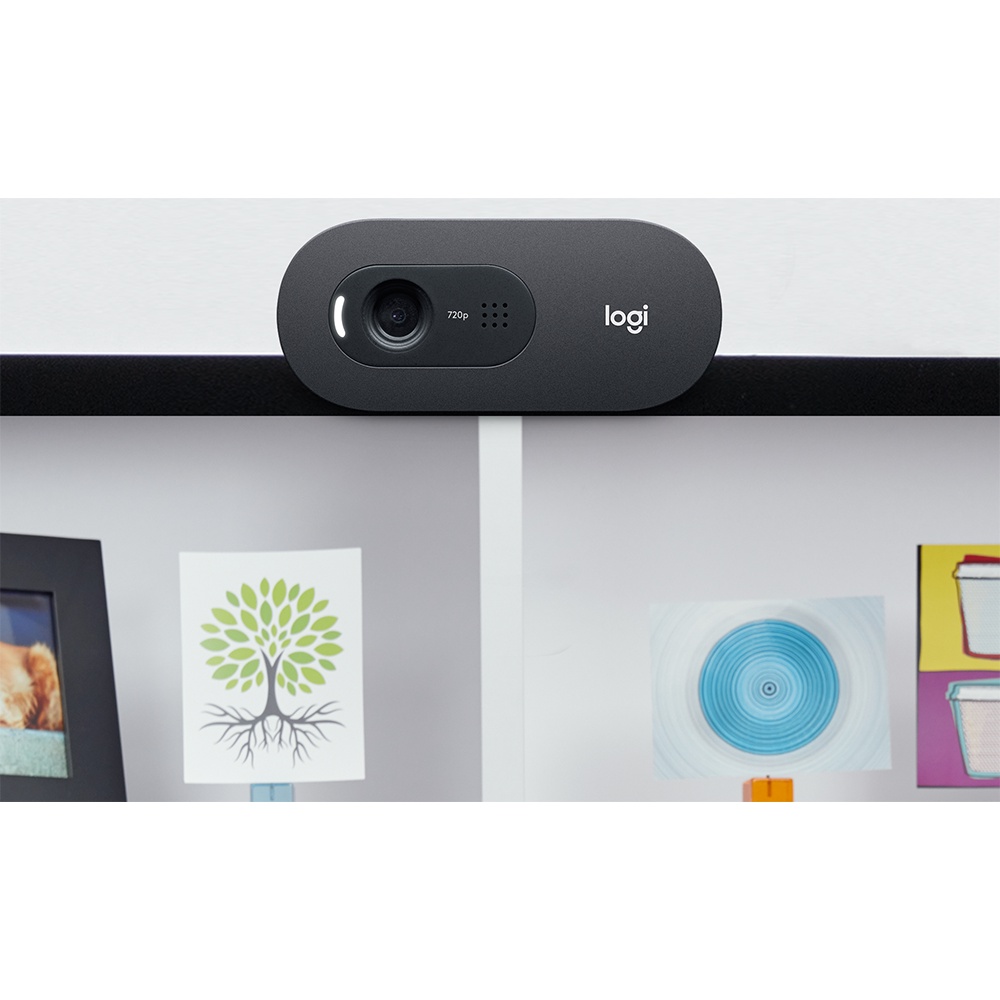 Webcam Logitech C505 HD Có Micro